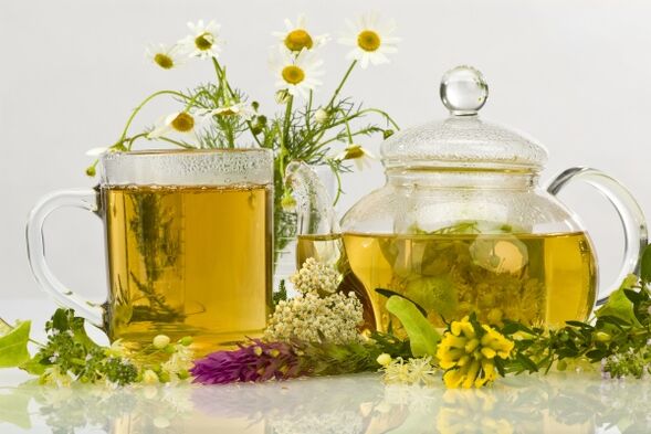 decotto di erbe come antibiotico naturale per la prostatite